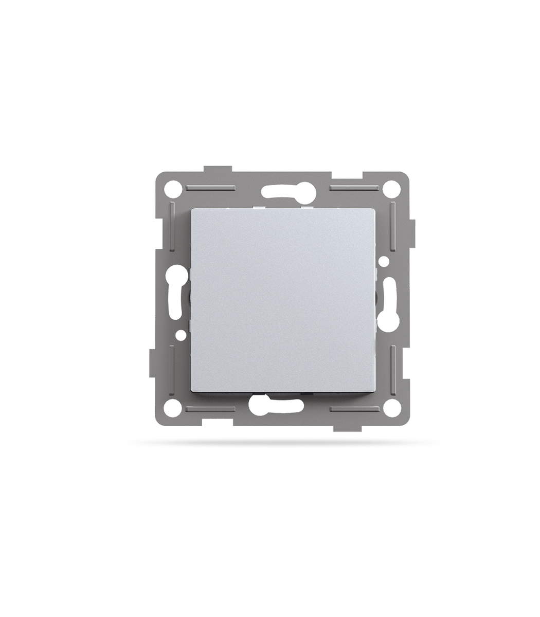 videx-vf-bnc-ss-1 Заглушка 1-пост для рамки BINERA Videx, Серебряный шелк (VF-BNC-SS) — изображение 1